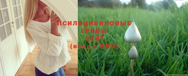 марки nbome Аркадак