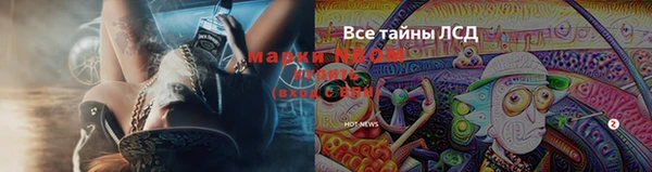 синтетический гашиш Бердск