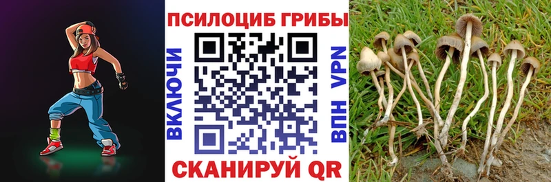 Псилоцибиновые грибы Magic Shrooms  ОМГ ОМГ маркетплейс  Белогорск 